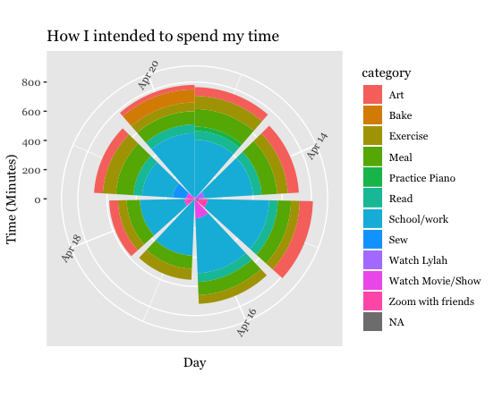 Intended time division per day as a polar plot